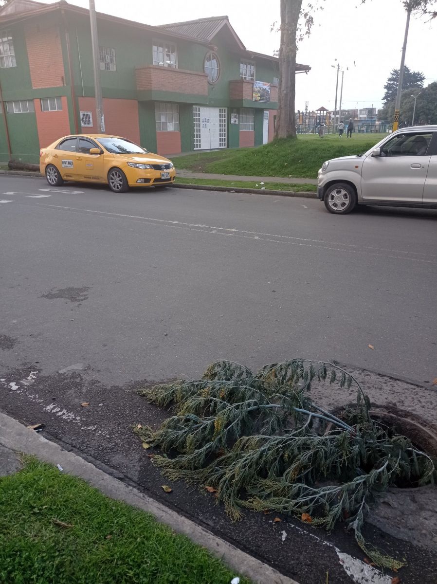 Supuestos carreteros se están robando señales de tránsito 2 Supuestos carreteros se están robando señales de tránsito Supuestos carreteros están aprovechando la soledad de la madrugada en las calles de Bogotá para robarse el mobiliario público. El modo de operar de estos pillos ha quedado grabado en videos de las cámaras de seguridad de los sectores que frecuentan.