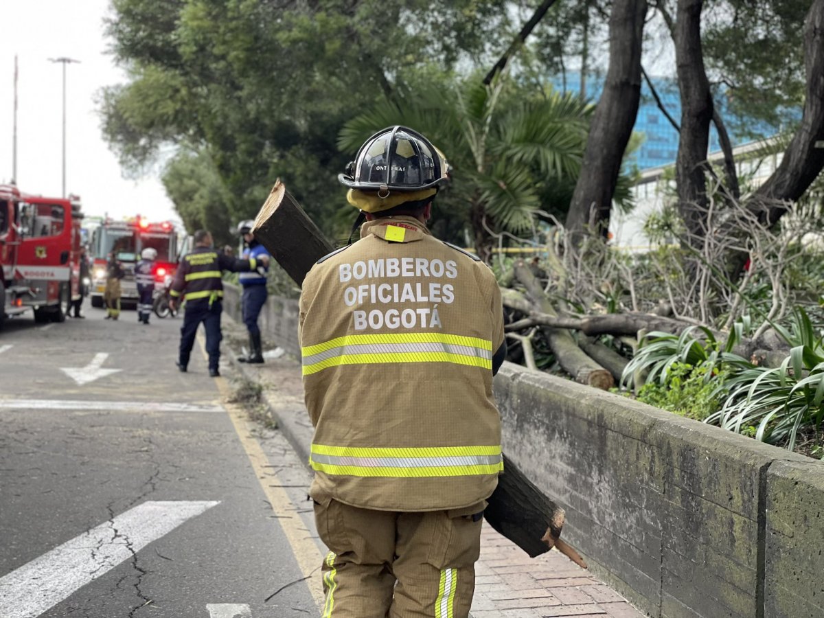 EN VIDEO: Árbol cayó sobre un carro con dos pasajeros en la Avenida de La Esperanza Tremendo susto se llevaron dos personas que se encontraban al interior de un carro en inmediaciones de la intersección de la Avenida de La Esperanza con Carrera 68, pues de imprevisto un árbol se desplomó y cayó sobre el vehículo.