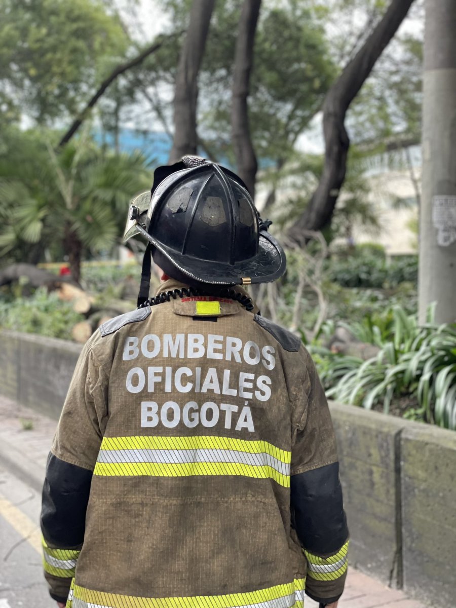 EN VIDEO: Árbol cayó sobre un carro con dos pasajeros en la Avenida de La Esperanza 1 EN VIDEO: Árbol cayó sobre un carro con dos pasajeros en la Avenida de La Esperanza Tremendo susto se llevaron dos personas que se encontraban al interior de un carro en inmediaciones de la intersección de la Avenida de La Esperanza con Carrera 68, pues de imprevisto un árbol se desplomó y cayó sobre el vehículo.