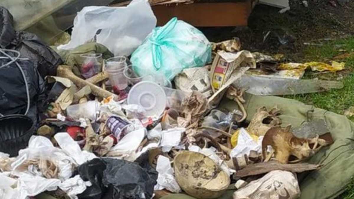 La verdad sobre los restos óseos hallados en Teusaquillo Un inesperado giro dio en las últimas horas la noticia del hallazgo de lo que, al aparecer, eran restos óseos humanos, hecho ocurrido en la calle 54 con carrera 17, en la localidad de Teusaquillo.