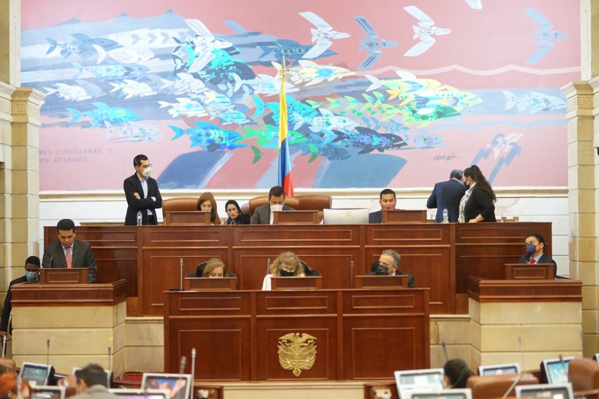 Abecé sobre el funcionamiento del Congreso A continuación, elaboramos un práctico ABC sobre todo lo que debe saber del funcionamiento del Congreso: diferencias entre la Cámara y el Senado, sus funciones y demás.