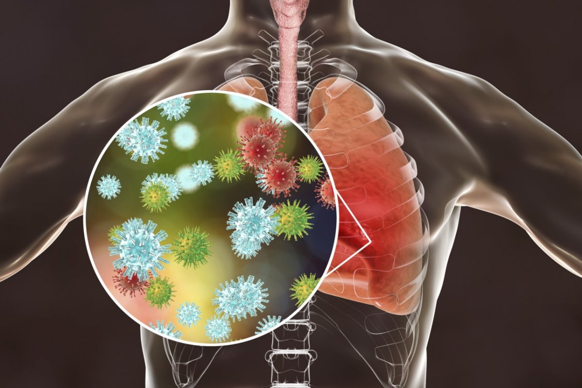 Variantes de COVID pueden esconderse en el cuerpo 1 Variantes de COVID pueden esconderse en el cuerpo Hombres de ciencia en todo el mundo siguen camellando fuerte y parejo para seguir encontrando la comba al palo que permita dejar atrás la amenaza del COVID.