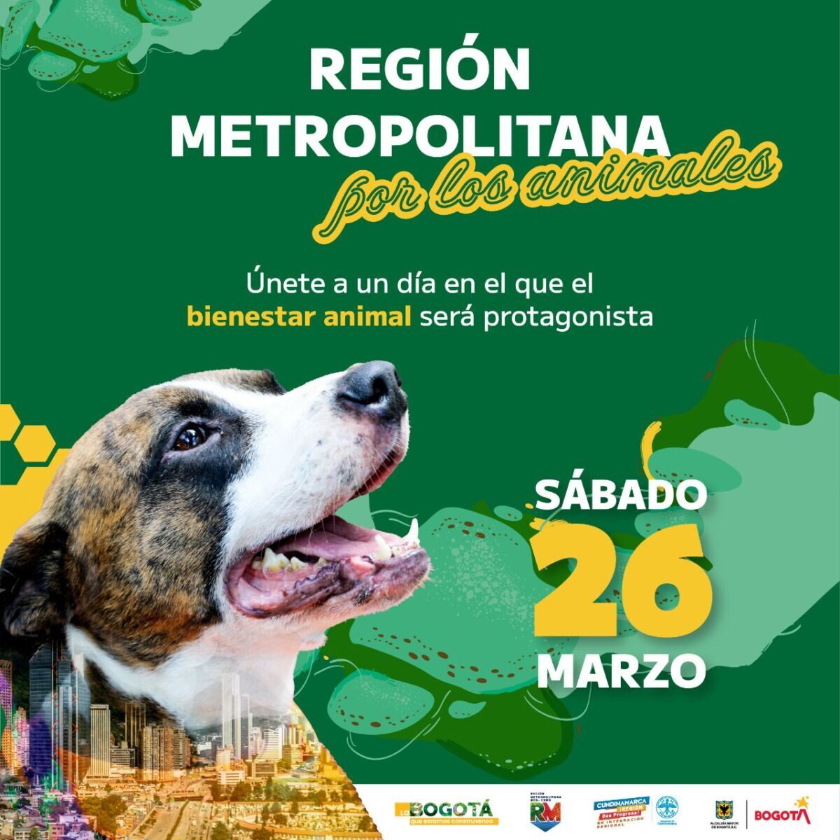 ¡Ojo! No se pierda de esta super jornada de bienestar animal en Bogotá 1 ¡Ojo! No se pierda de esta super jornada de bienestar animal en Bogotá El próximo 26 de marzo, los Institutos de Protección y Bienestar Animal de Bogotá, en conjunto con otras organizaciones, llevarán a cabo una nueva jornada de protección animal en el CAI Santo Domingo, el cual se encuentra ubicado en los límites entre el municipio de Soacha y Bogotá.