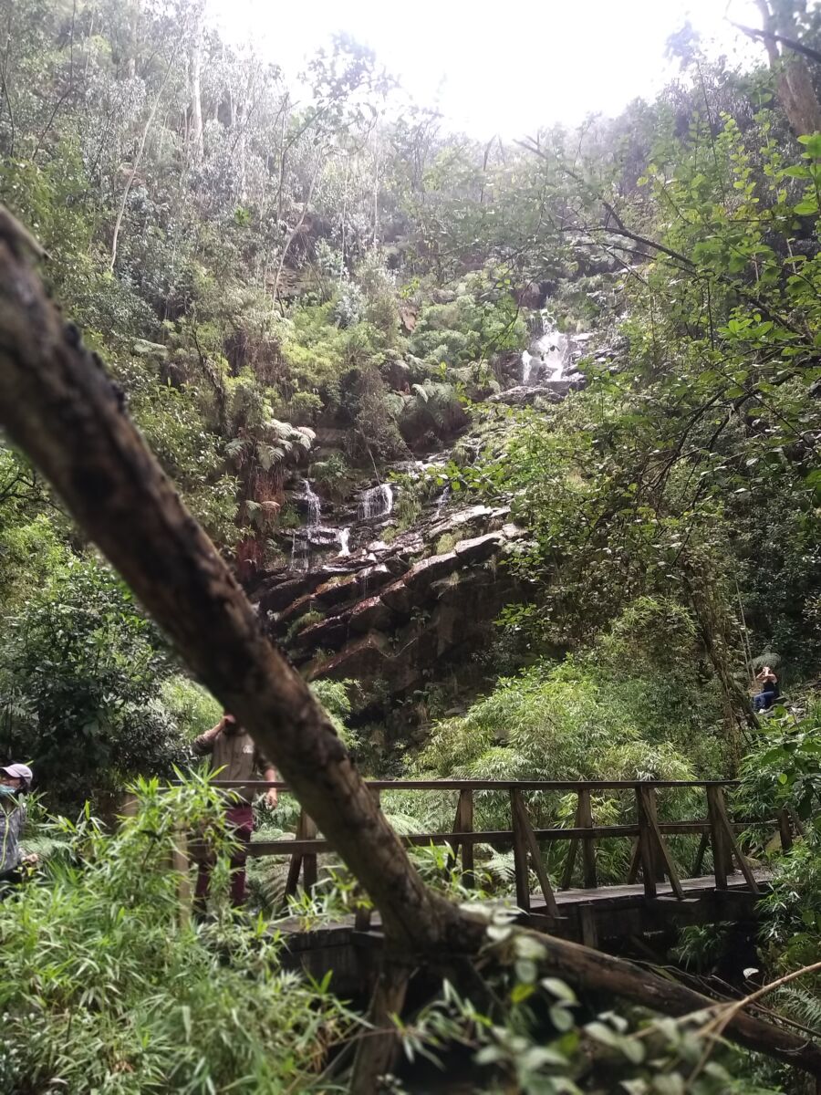 El encanto de la quebrada El Encanto 2 El encanto de la quebrada El Encanto Y es que los bogotanos, en su mayoría, desconocemos que dentro de la ciudad hay toda clase de tesoros invaluables que podemos aprovechar sin gastar más allá de los buses, aunque realmente ese no era del todo mi caso: opté por comprar por $20.000 un plan de caminata a la quebrada El Encanto, el cual era de algo más de tres horas por la Cordillera Oriental.