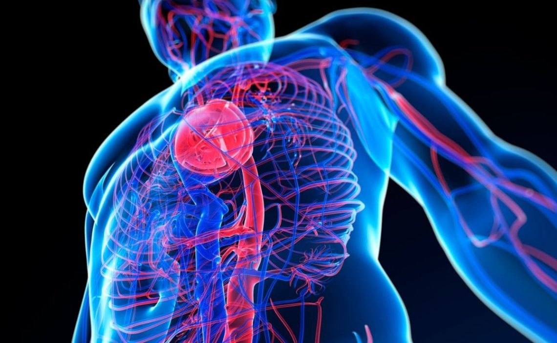 ¡El ‘menú’ pa’ la buena salud! La Asociación Americana del Corazón (AHA) acaba de actualizar su guía de recomendaciones dietéticas para preservar la salud cardiovascular. Deja muy claro cuál es el “menú diario” a seguir para evitar el infarto y otras enfermedades cardiovasculares, según los resultados de las investigaciones más recientes.