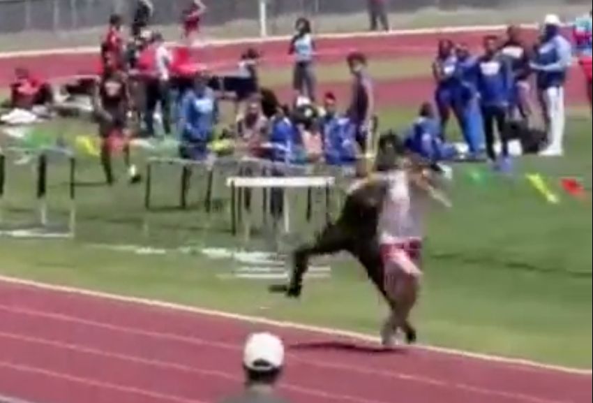 En video: Con tremendo golpe atleta noqueó a un rival en plena carrera 10 En video: Con tremendo golpe atleta noqueó a un rival en plena carrera En medio de una carrera de atletismo amateur llamada Tohopekaliga Tiger Invitational de Kissimmeese, en California, Estados Unidos, un atleta, de un momento a otro, le pegó un tremendo puñetazo a otro corredor de la competencia.