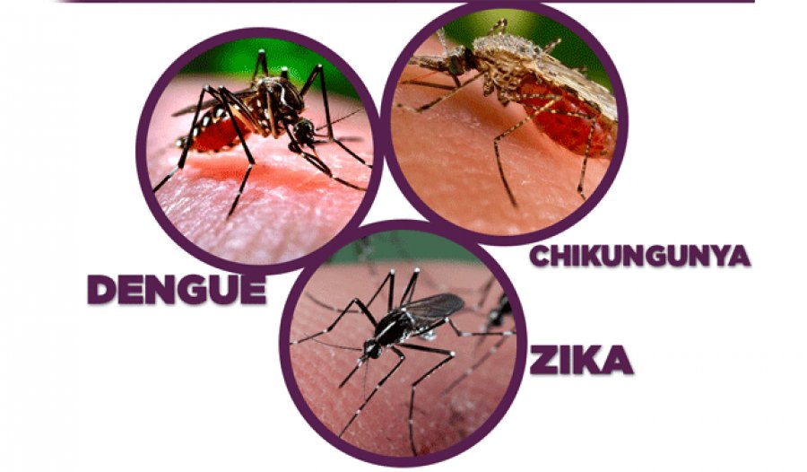 Minsalud reitera advertencia por dengue, zika y chikungunya en Semana Santa 1 Minsalud reitera advertencia por dengue, zika y chikungunya en Semana Santa El Ministerio de Salud volvió a emitir recomendaciones para prevenir los contagios de dengue, zika y chikunguña durante esta Semana Santa.