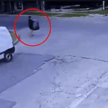Encuentran a bebé recién nacida entre bolsas de basura Una bebé recién nacida fue encontrada por un ciclista que transitaba por la zona en, en medio de unas bolsas de basura, por fortuna el camión que recolector aún no había pasado. El hecho ocurrió en zona Morón Sur, de Buenos Aires, Argentina.