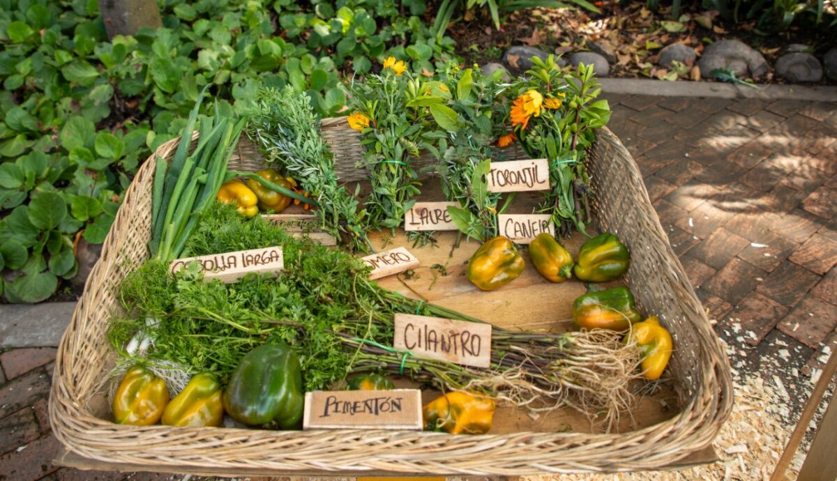 Vuelven los 'Mercados Campesinos' al Jardín Botánico 1 Vuelven los 'Mercados Campesinos' al Jardín Botánico Si busca alimentos orgánicos, a precios justos, frescos, y libres de químicos, este sábado 2 y domingo 3 de abril el Jardín Botánico realizará la novena versión de los 'Mercados Campesinos'.