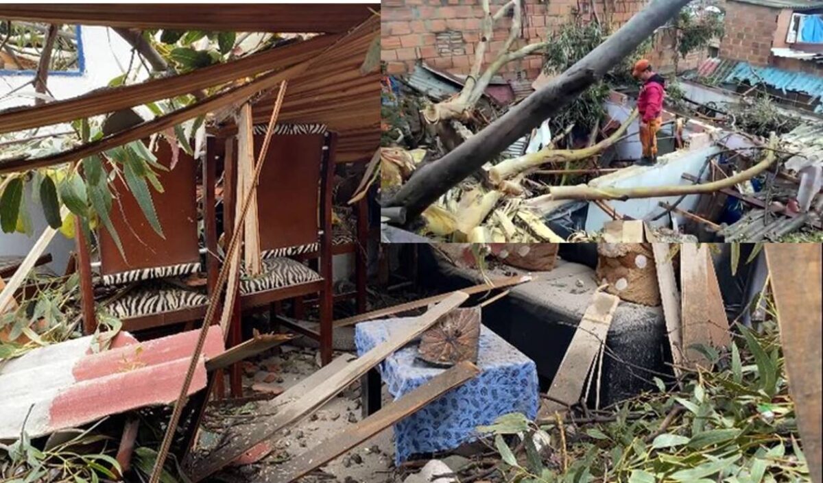 Árbol se le fue encima a tres casas en Soacha y casi mata a una abuelita 8 Árbol se le fue encima a tres casas en Soacha y casi mata a una abuelita Este miércoles 20 de abril en las horas de la mañana se presentó una emergencia en el sector de La Florida baja en la comuna 6 en el municipio de Soacha, donde al parecer por las fuertes lluvias un gran árbol se cayó sobre tres viviendas.