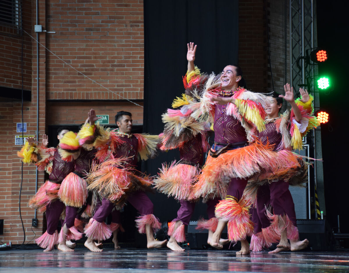 No se pierda la celebración del día internacional de la danza En el marco de la celebración del día internacional de la danza, el Instituto Distrital de las Artes (Idartes) planeó para este sábado 30 de abril actividades para conmemorar esta celebración.