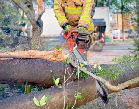 Árbol se le fue encima a tres casas en Soacha y casi mata a una abuelita 1 Árbol se le fue encima a tres casas en Soacha y casi mata a una abuelita Este miércoles 20 de abril en las horas de la mañana se presentó una emergencia en el sector de La Florida baja en la comuna 6 en el municipio de Soacha, donde al parecer por las fuertes lluvias un gran árbol se cayó sobre tres viviendas.