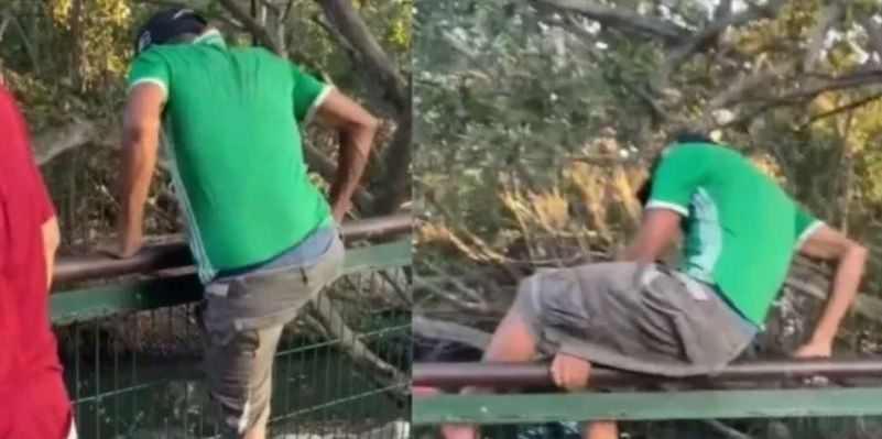 Borracho se metió dentro de jaula repleta de cocodrilos Tras un insólito video que se conoció por medio de redes sociales, en la 'Laguna del Carpintero', ubicada en la ciudad de Tampíco, México, un hombre en aparente estado de ebriedad, ingresó en una jaula repleta de cocodrilos.