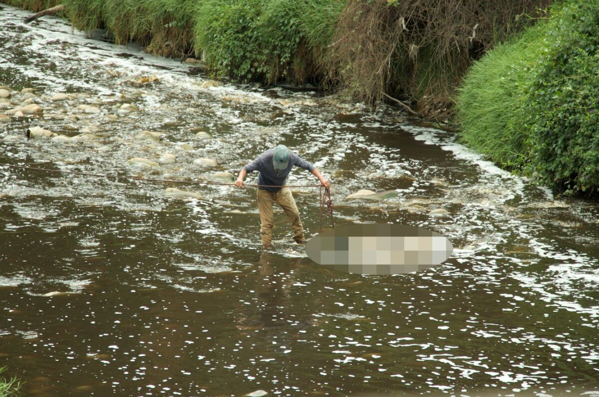 Hallan cuerpo de una mujer en el río Tunjuelito 2 Hallan cuerpo de una mujer en el río Tunjuelito A a la orilla del río Tunjuelo apareció en la mañana de ayer el cadáver de una mujer. Su cuerpo estaba semidesnudo, solo portaba una camiseta que le cubría el rostro. El cauce del río la habría arrastrado hasta ese cúmulo de piedras que arropan el tramo del río, que colinda con la Calle 71 sur con Carrera 3J (sentido Sur-Norte), justo detrás del botadero Doña Juana.
