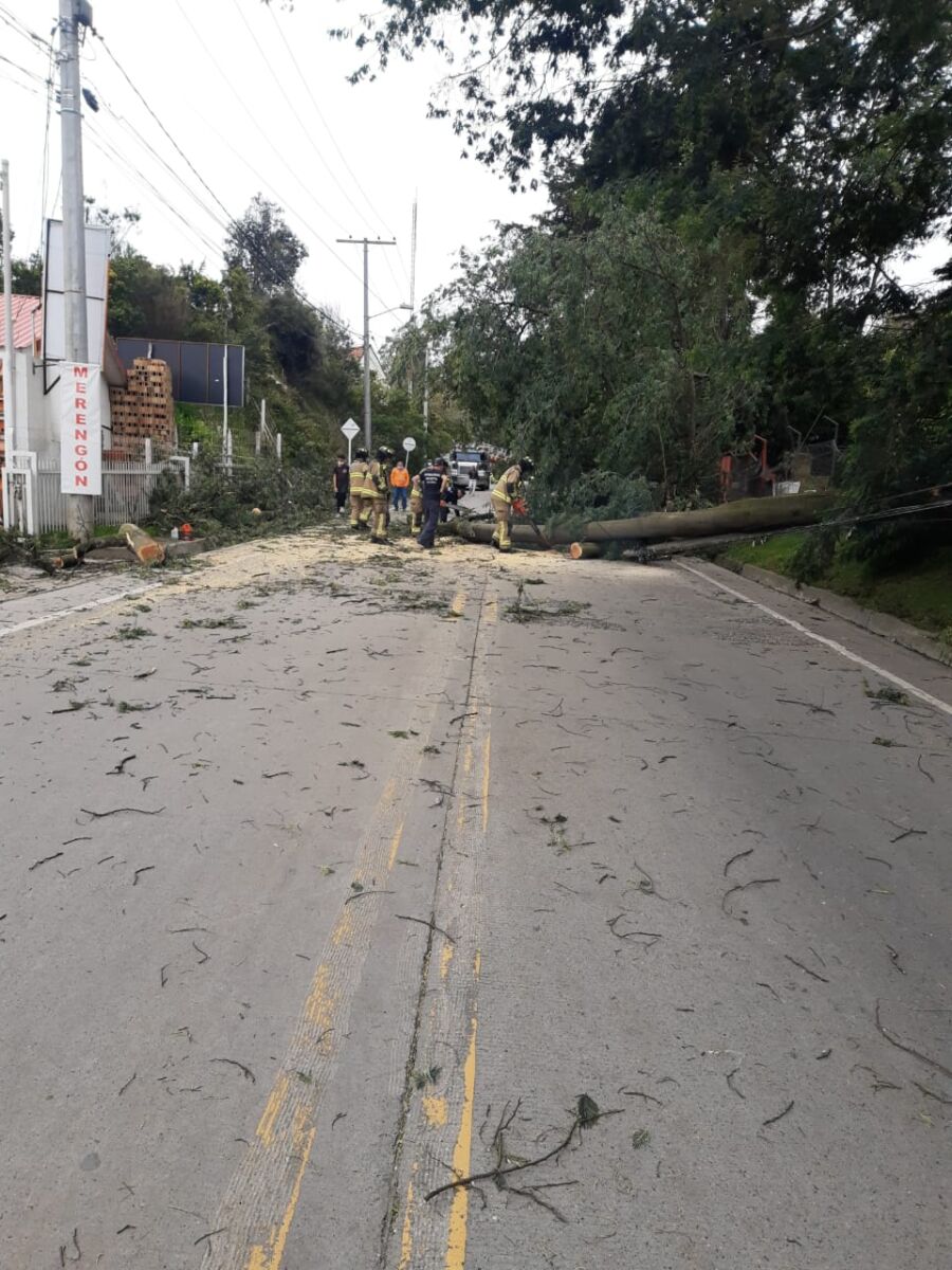 Caída de árbol provoca estragos en el kilómetro 5 vía a La Calera 4 Caída de árbol provoca estragos en el kilómetro 5 vía a La Calera En la ultimas horas de este sábado, un gigantesco árbol se desplomó en la localidad de Chapinero en el kilómetro 5 vía a La Calera. Según el cuerpo de bomberos y agentes de movilidad el incidente no dejó heridos o afectaciones de gravedad.