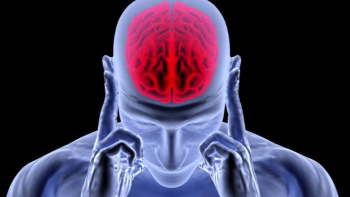 ¡Insólito! A una mujer le falta una parte de su cerebro 5 ¡Insólito! A una mujer le falta una parte de su cerebro Una mujer, a quien le tienen protegida su identidad, le falta el lóbulo temporal izquierdo del cerebro, que es la parte que domina el lenguaje, la expresión y el aprendizaje, por lo que se creería que esto afectaría a la protagonista de esta historia. Pero increíblemente no es así.