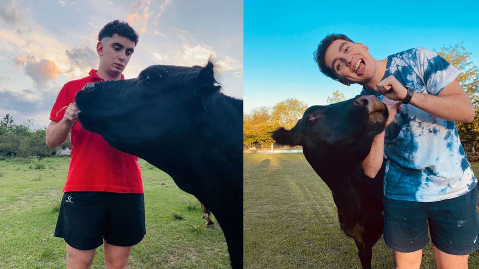 EN VIDEO: Clota la "vaca perro" que es furor en TikTok 7 EN VIDEO: Clota la "vaca perro" que es furor en TikTok Clota es una vaca que su dueño salvo de la muerte, y como agradecimiento lo acompaña a todos lados. Fernando Aguilera un joven de 21 años encontró a Clota en una ruta de Córdoba cuando tan solo tenia un mes, su plan era adoptarla temporalmente y ya lleva 10 años con ella.