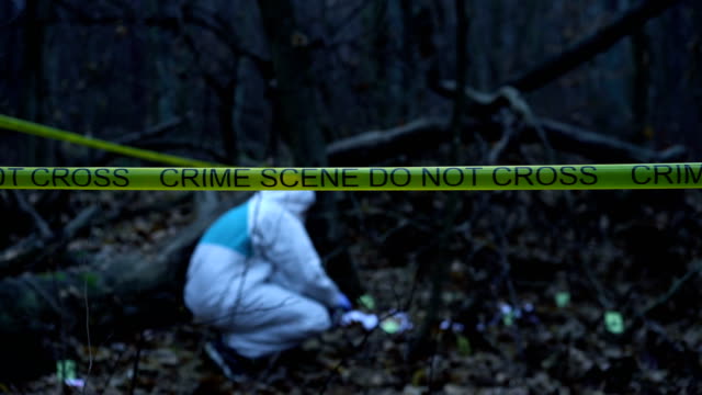 Encuentran cadáver de un niño de 5 años dentro de una maleta 4 Encuentran cadáver de un niño de 5 años dentro de una maleta En la fría y solitaria noche del pasado sábado, fue encontrada una maleta de viaje abandonada, en una zona rural del condado de Washington, Estados Unidos. Al abrir el equipaje lo que se encontró fue escalofriante, pues estaba el cuerpo de un pequeño niño muerto.