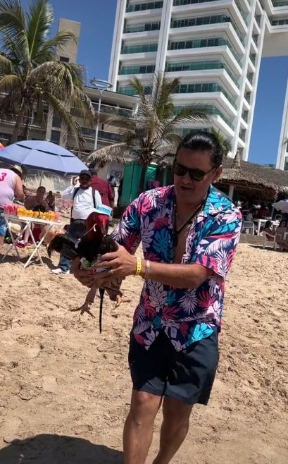 Se llevó hasta el gallo a sus vacaciones en la playa 2 Se llevó hasta el gallo a sus vacaciones en la playa A un hombre no le bastó con llevarse su gallo a sus vacaciones a la playa, sino que también le puso un sombrero y lo vistió con un pantalón, acaparando así la atención de otros turistas. Para el mexicano, su mascota "se merece lo mejor".
