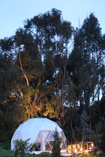 Noche romántica de pareja en glamping acabó en tragedia 1 Noche romántica de pareja en glamping acabó en tragedia Recientemente se conoció el caso de una pareja que vivió una tragedia al interior de un glamping (término que se popularizó en esta época, para nombrar a los campamentos lujosos en medio de la naturaleza), ubicado en Manta (Cundinamarca), a tan solo dos horas de la capital, por la inhalación de gases tóxicos.