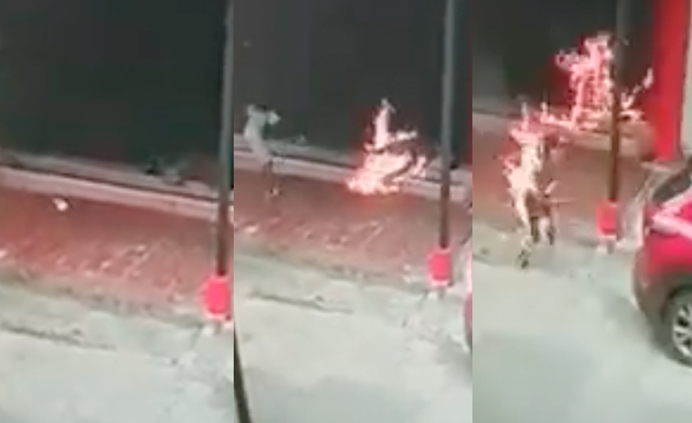 Mujer quemó a un habitante de calle que dormía en un andén Un terrible caso de agresión se presentó en la ciudad de Buenaventura cuando una mujer prendió fuego a un hombre que dormía en el andén de un local comercial.