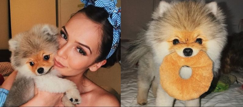 EN VIDEO: Perro le mordió la cara a Lina Tejeiro 3 EN VIDEO: Perro le mordió la cara a Lina Tejeiro La actriz Lina Tejeiro asustó a sus seguidores cuando apareció en sus redes sociales con una marca en su rostro, cerca a su ojo, la mañana de este miércoles. Sin embargo, aclaró a los pocos segundos que fue una de sus mascotas quien la mordió.
