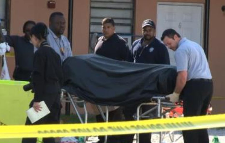 En un congelador encontraron el cuerpo de una mujer de 93 años 1 En un congelador encontraron el cuerpo de una mujer de 93 años Las autoridades encontraron el cuerpo de una mujer de 93 años, luego de que su vecino reportara que no sabía de ella desde hace un tiempo.