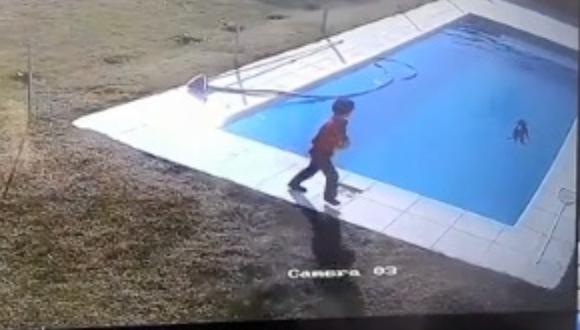 EN VIDEO: niño de 5 años salva a su perro de morir ahogado 8 EN VIDEO: niño de 5 años salva a su perro de morir ahogado Un pequeño niño de tan solo 5 años se lanzó a una piscina para salvar a su mascota, un cachorro de tan solo dos meses, que duro en el agua intentando no ahogarse durante unos 15 minutos.
