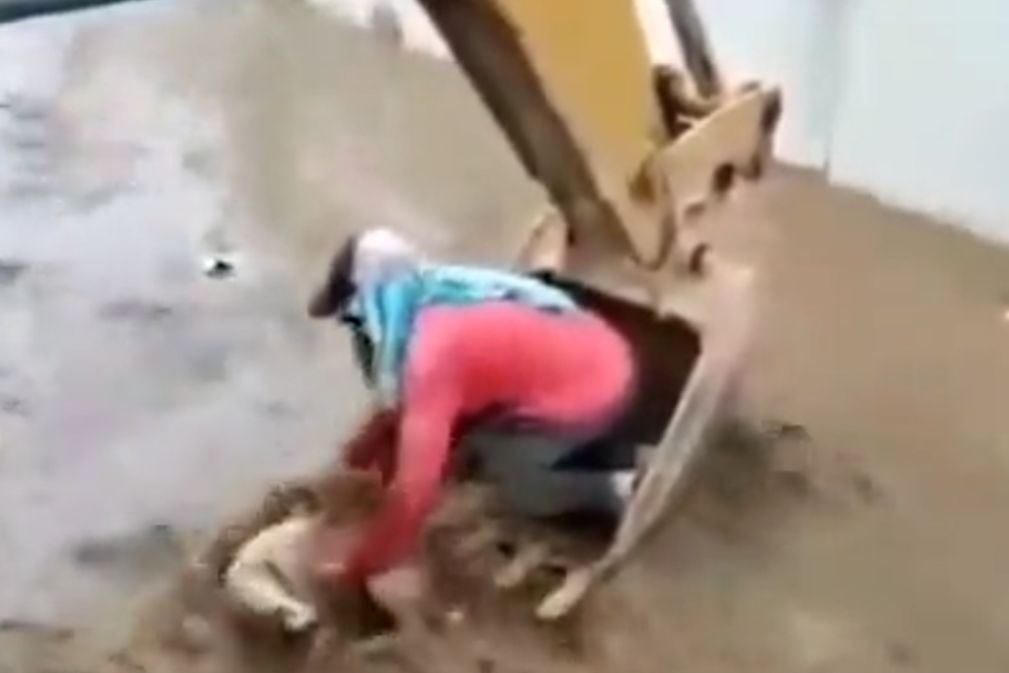 El increíble rescate de un perrito 4 El increíble rescate de un perrito Con un impresionante acto de heroísmo que se conoció por medio de redes sociales, un obrero en la provincia de El Oro, en Ecuador, sin dudarlo dos veces, se montó en una retroexcavadora y fue al rescate de un perrito que estaba siendo arrastrado por la corriente de un canal de agua.