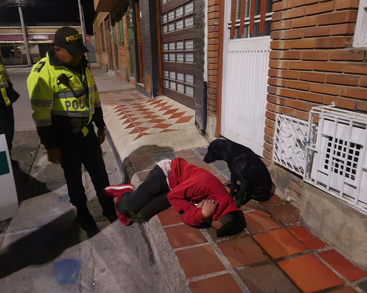 VIDEO: Perro le cuidó la borrachera a su amo 1 VIDEO: Perro le cuidó la borrachera a su amo "Luego de que abrieron la puerta su felicidad era evidente por el movimiento de su cola y sus movimientos inquietos de alegría. Sin duda una muestra inmensa de lealtad del mejor amigo del hombre”, concluyó el agente, quien fue testigo del momento en que el perro le cuidó a su amo.