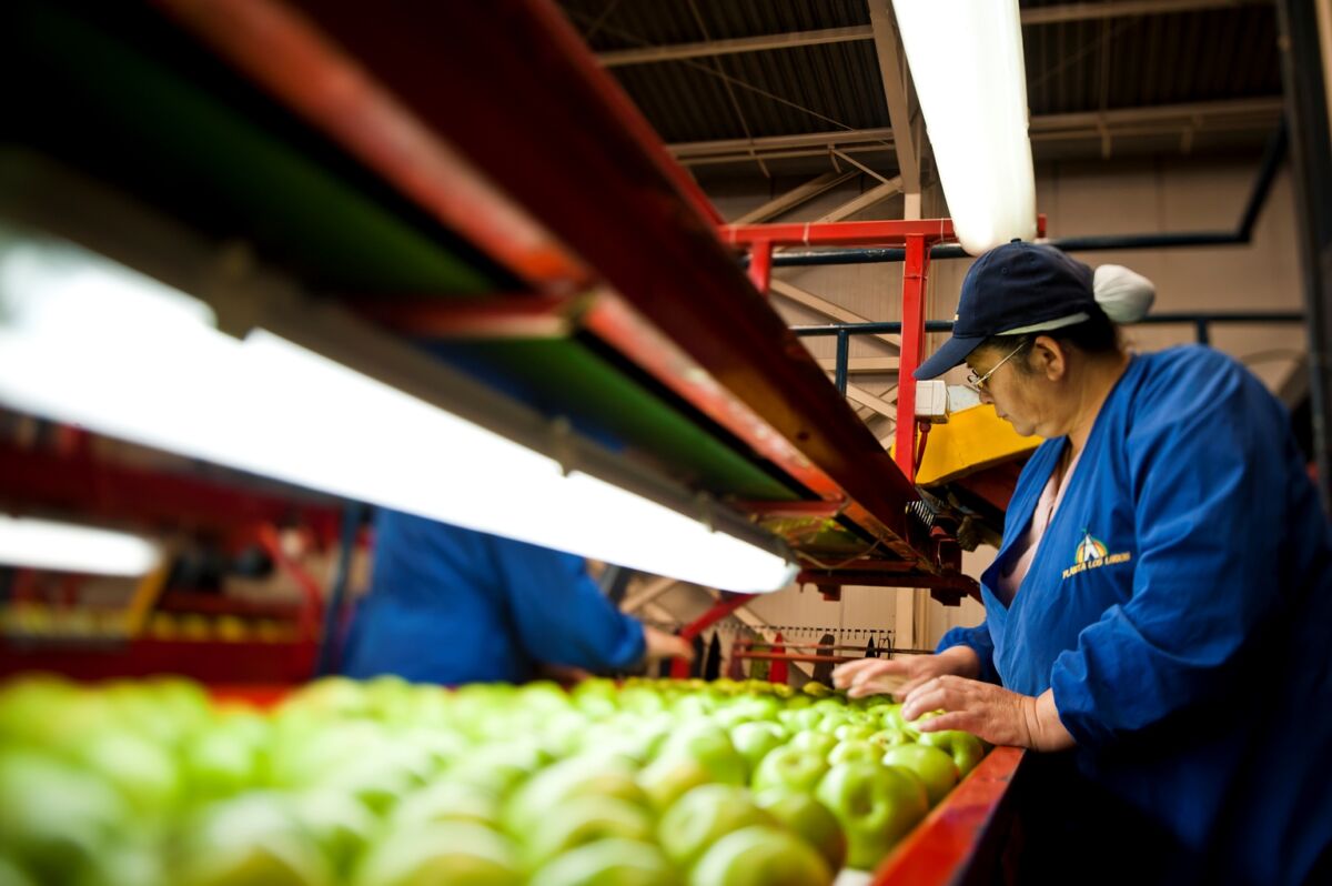 Gobierno reduce el arancel de 39 insumos agropecuarios durante un año 4 Gobierno reduce el arancel de 39 insumos agropecuarios durante un año Con el fin de mitigar los impactos económicos provocados por la inflación y la pandemia, y para generar una baja de los costos de producción de los alimentos, el Gobierno hizo oficial la reducción de los impuestos (aranceles) de más de 39 insumos agropecuarios durante los próximos 12 meses.