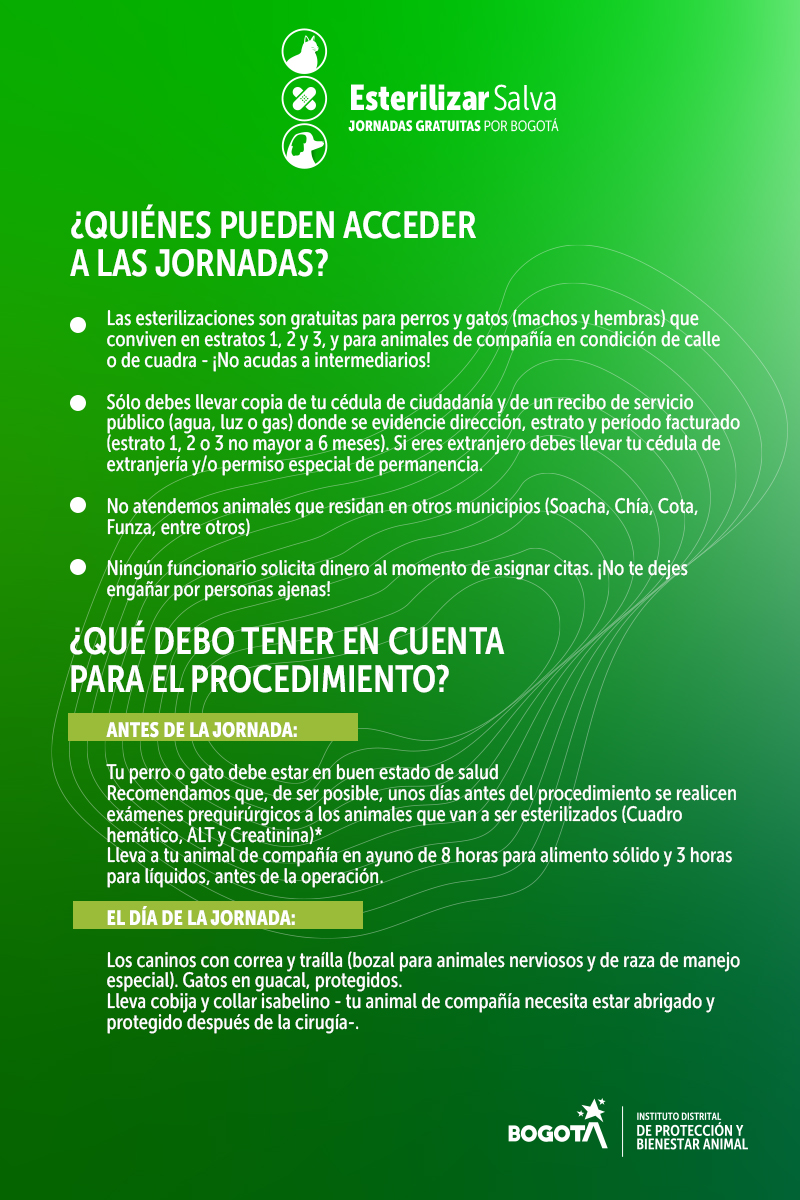 ¡Ojo! Agende su turno para esterilizar a sus mascotas 2 ¡Ojo! Agende su turno para esterilizar a sus mascotas El Instituto Distrital de Protección y Bienestar Animal informó que se habilitaron 300 turnos para que los ciudadanos pueden realizar la esterilización de sus mascotas de manera gratuita y segura.