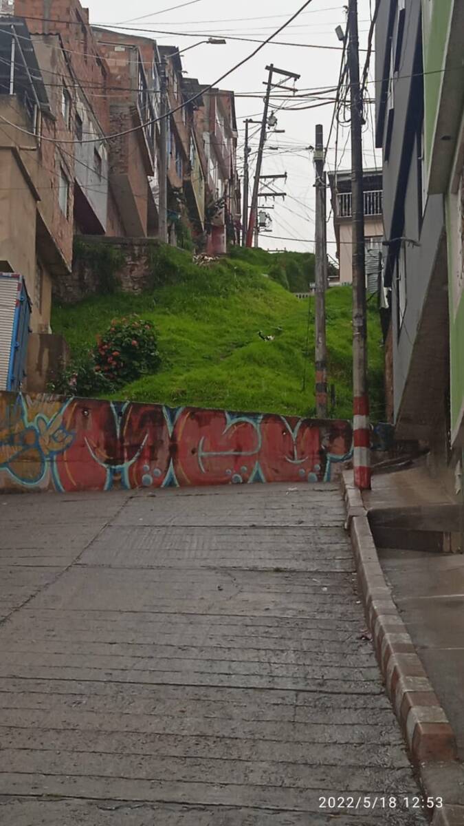 Acribillaron a Óscar en Las Colinas de Rafael Uribe Un nuevo crimen se registró en el barrio Las Colinas de Rafael Uribe Uribe, la noche de este martes. Aunque no es nada extraño para los habitantes de este barrio conocer hechos de muertes violentas, el vecindario está contra la espada y la pared, ya que hace un mes también hubo un asesinato a una cuadra del más reciente.
