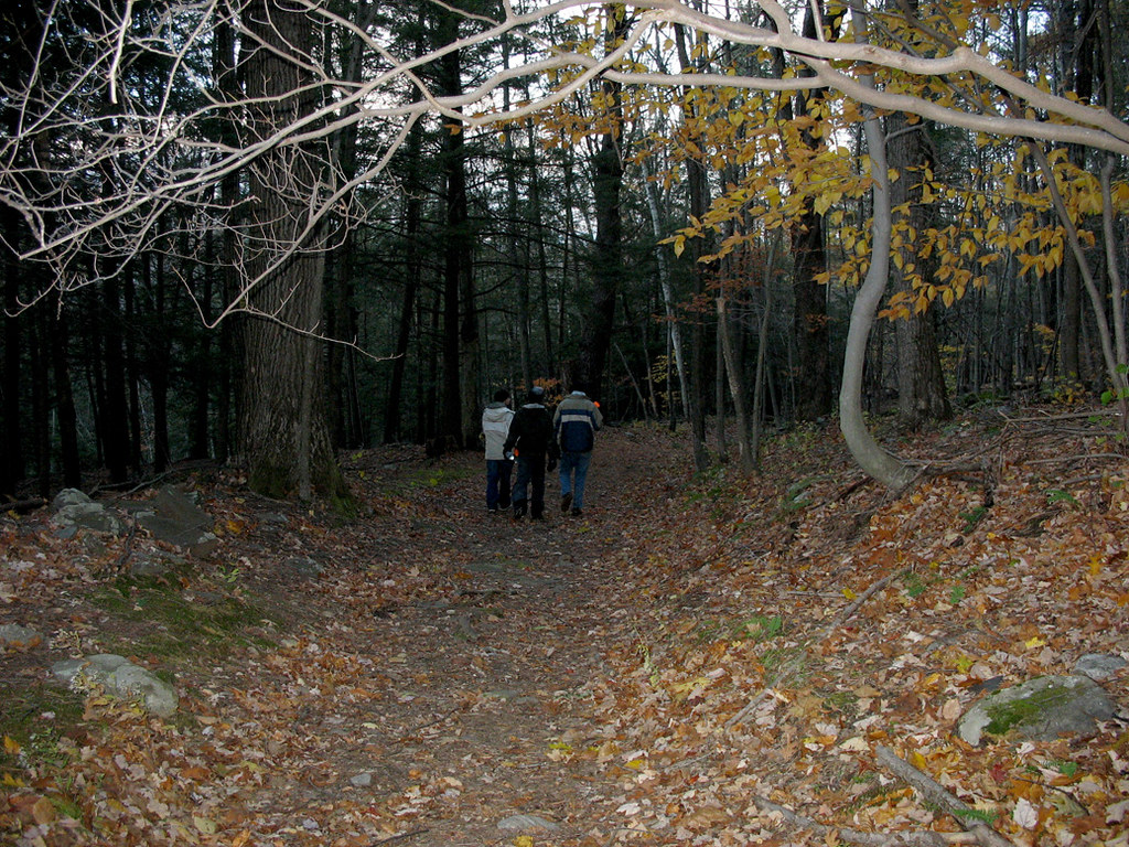 Los bosques encantados más famosos del mundo En la literatura universal es común encontrar historias llenas de bosques encantados, donde habitan duendes, hadas y hasta brujas malvadas; pero en nuestro planeta también se dice que existen zonas verdes cuya energía es tan oscura que puede llevar a una persona a la muerte; otros, incluso, afirman que albergan portales a otra dimensión, donde los visitantes ingresan para nunca más regresar.