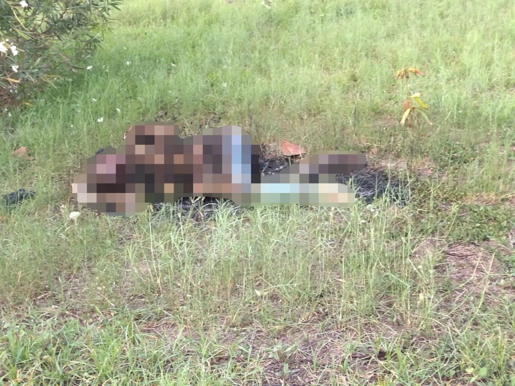Incineró a su pareja y luego confesó el macabro crimen 1 Incineró a su pareja y luego confesó el macabro crimen Maquiavélico crimen, así fue el asesinato de la joven venezolana Edixmar Henríquez González, quien después de muerta fue abandonada en una manga e incinerada.