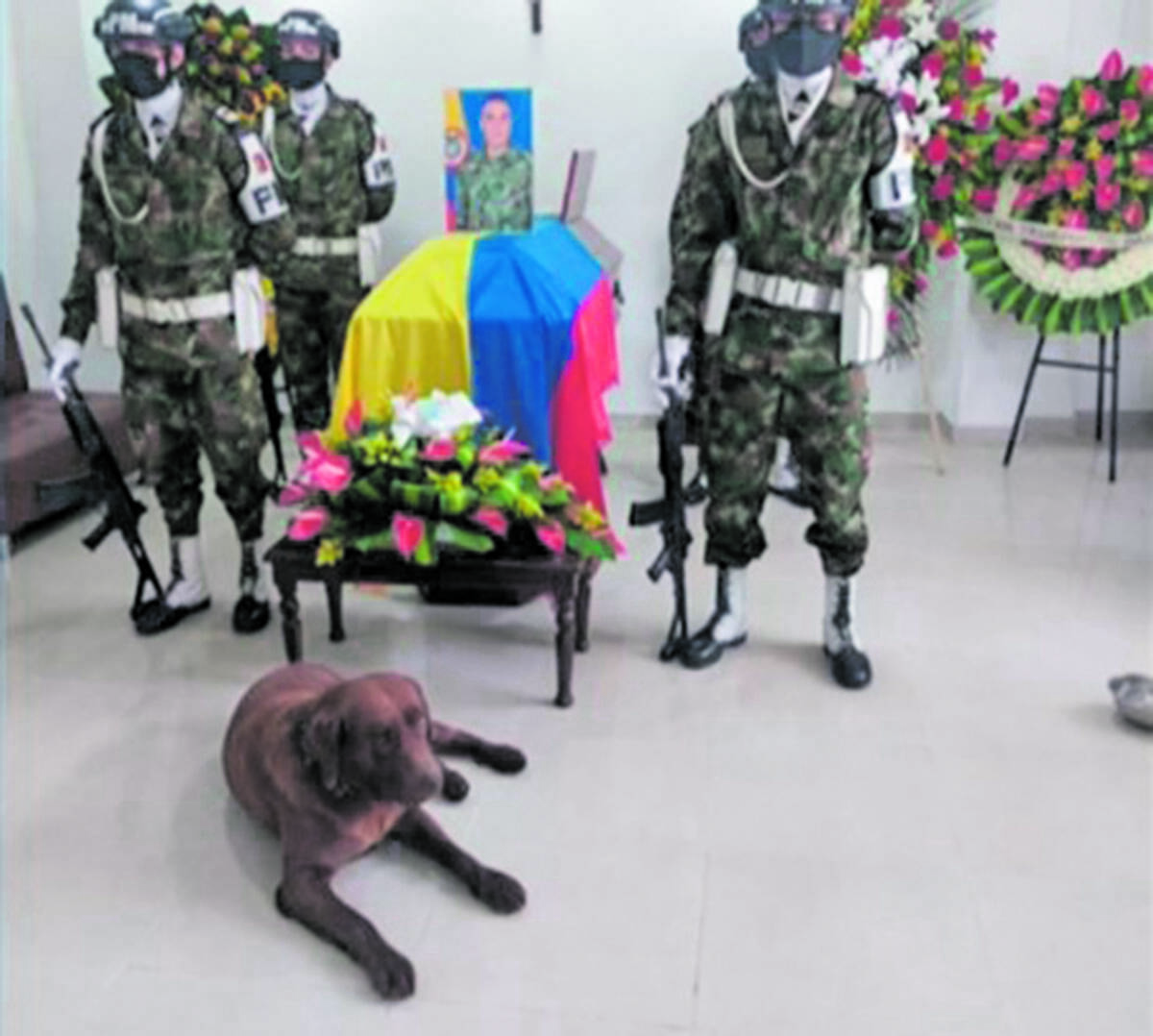 Acompañó a su amo hasta su última morada El soldado profesional Andrés Vargas falleció por cuenta de una afección cardiaca, pero llamó la atención que en su sepelio su fiel mascota Rocky no se le despegó ni en un solo momento. Este perrito lo acompañó durante 6 años en misiones en San José del Guaviare.