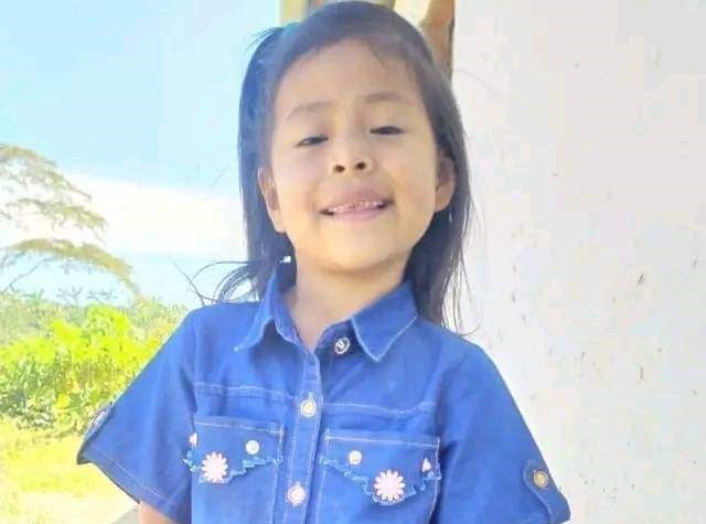 ¡Desgarrador! Hallan cuerpo sin vida de niña de 5 años en zona boscosa del Huila 1 ¡Desgarrador! Hallan cuerpo sin vida de niña de 5 años en zona boscosa del Huila La pequeña Karol Natalia Chantre, de 5años, fue hallada sin vida en la mañana de este viernes 13 de mayo, cerca a una quebrada que está a tan solo 2 Km de su casa en la vereda La Alpina, en el municipio de La Plata (Huila).