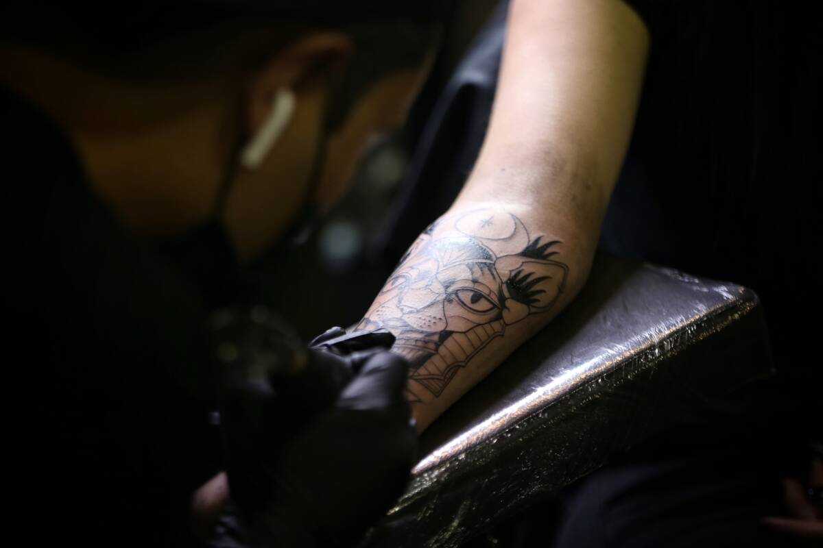 Regresa el Tattoo Music Fest 2022 Tras su ausencia en los dos años de pandemia, regresa el Tattoo Music Fest, que tendrá su séptima edición, como uno de los eventos más reconocidos del tatuaje en Latinoamérica.