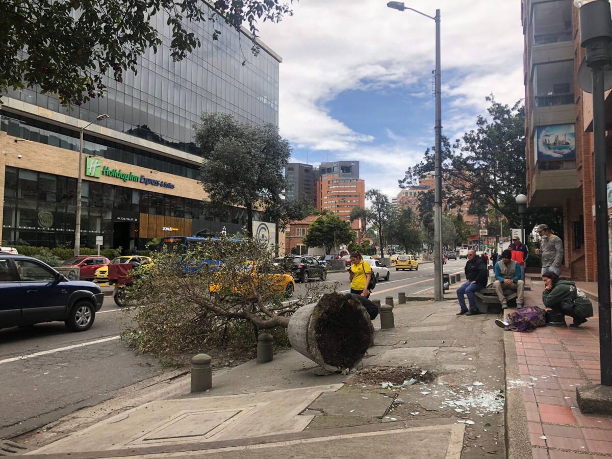 Árbol se le cayó encima a dos personas en Chapinero 1 Árbol se le cayó encima a dos personas en Chapinero En la calle 67 con carrera séptima, un árbol se vino abajo y le cayó encima a dos personas que iban caminando por la zona.