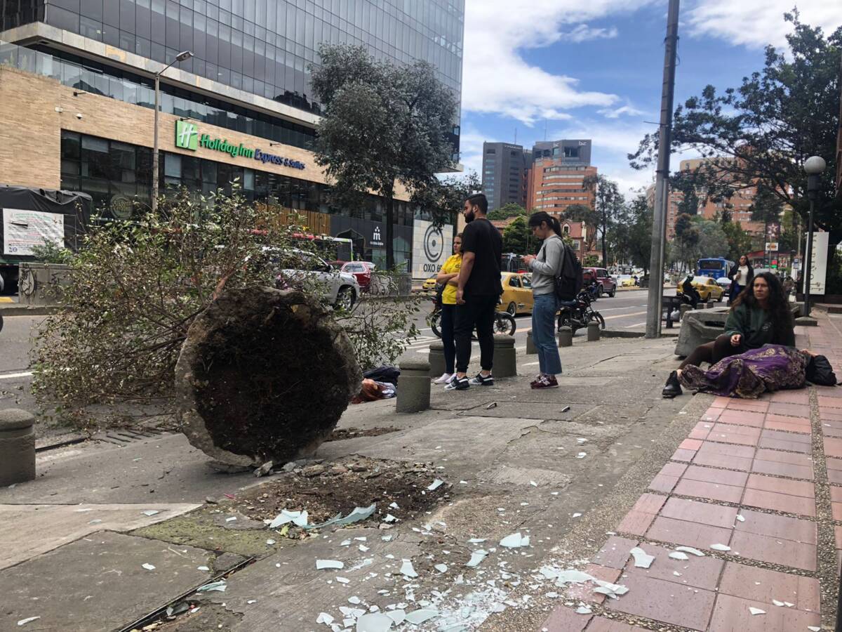 Árbol se le cayó encima a dos personas en Chapinero   En la&nbsp;calle 67 con carrera séptima, un árbol se vino abajo y le cayó encima a dos personas que iban caminando por la zona.