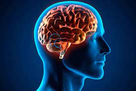 Vive a pesar de no tener una parte de cerebro 1 Vive a pesar de no tener una parte de cerebro Un mundo como el nuestro, en el que viven cerca de 700.000 millones de personas, está repleto de todo tipo de comportamientos, enfermedades y condiciones médicas que escapan, la mayoría de las veces, a la lógica y el sentido común.