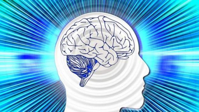 Vive a pesar de no tener una parte de cerebro 2 Vive a pesar de no tener una parte de cerebro Un mundo como el nuestro, en el que viven cerca de 700.000 millones de personas, está repleto de todo tipo de comportamientos, enfermedades y condiciones médicas que escapan, la mayoría de las veces, a la lógica y el sentido común.