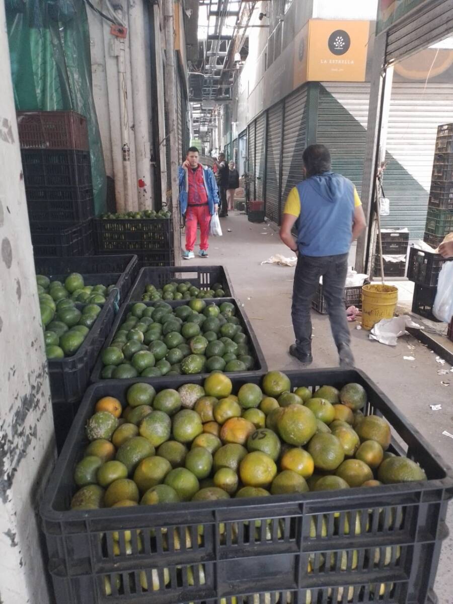 Infames asesinaron a comerciante de Corabastos en pueblo de Cundinamarca Hace poco se conoció el lamentable asesinato a manos de una banda de ladrones de un querido comerciante de frutas de Corabastos. Danilo Villamil encontró la muerte en una finca en la zona rural del municipio de Jerusalén, Cundinamarca, el pasado viernes. Una semana después del crimen los asesinos siguen libres.