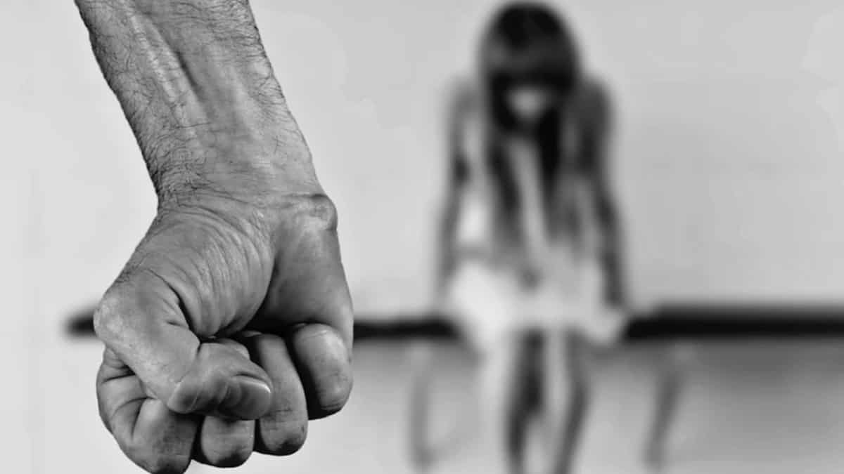 A la cárcel hombre que agredió a su pareja y le mató a su perrita John Freddy Romero Rodríguez fue enviado a la cárcel por agredir a su pareja en la localidad de Puente Aranda, donde, además, también habría asesinado a la perrita de la mujer en medio de una discusión.
