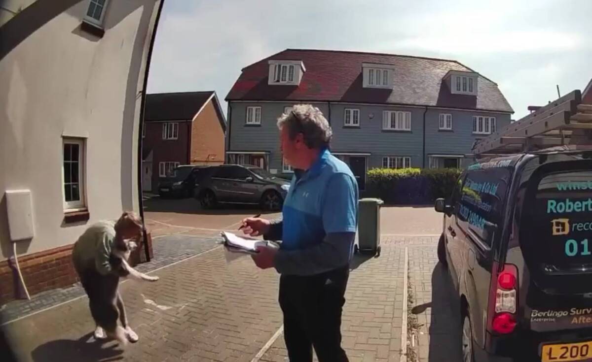 ¡Increíble! Mujer salvó a su mascota que caía desde un edificio 3 ¡Increíble! Mujer salvó a su mascota que caía desde un edificio ¡Toda una heroína! Con un video que se ha viralizado en redes sociales, fue registrado el momento exacto en que una mujer atrapa y salva de la muerte a su mascota, que caía desde un segundo piso.