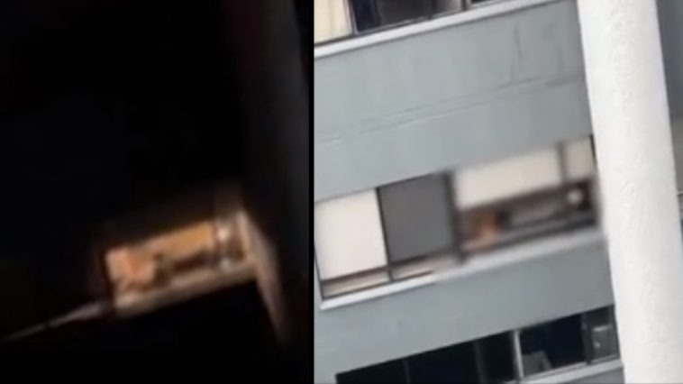 Mujer se desnuda con las ventanas abiertas y causa polémica En varios videos ha quedado registrado como una mujer se toca sus partes intimas frente a un computador. La fémina lo hace con la luz prendida y las ventanas abiertas.