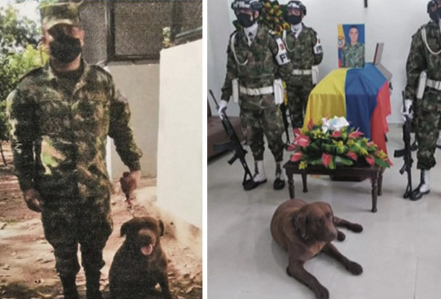 Acompañó a su amo hasta su última morada El soldado profesional Andrés Vargas falleció por cuenta de una afección cardiaca, pero llamó la atención que en su sepelio su fiel mascota Rocky no se le despegó ni en un solo momento. Este perrito lo acompañó durante 6 años en misiones en San José del Guaviare.