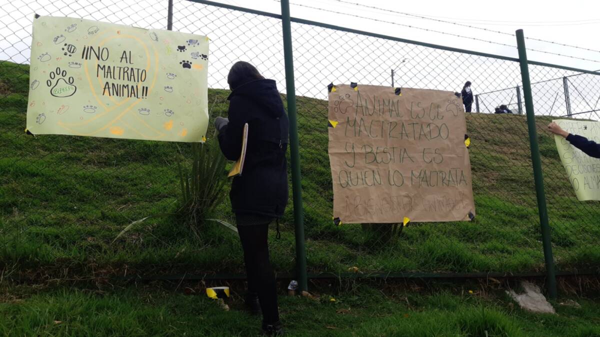 Denuncian masacre de perros en Pasquilla, Ciudad Bolívar 2 Denuncian masacre de perros en Pasquilla, Ciudad Bolívar La comunidad del sector denuncia que solo en el mes de abril fueron, al menos, 30 los perros que murieron por manos criminales del sector de Pasquilla, Pasquillita y Mochuelo Alto, sectores rurales de Ciudad Bolívar.