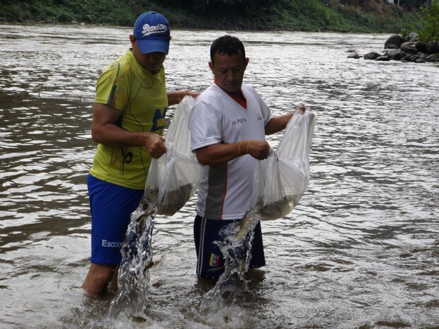 Corte le puso tatequieto a la pesca deportiva Una decisión de la Corte Constitucional ha generado revuelo en las últimas horas: se trata de la prohibición de la pesca deportiva, lo que ha llamado la atención debido a que toca varios intereses económicos, pero esta se tomó con base en una línea de cuidado ambiental y de defensa de la dignidad de los animales.