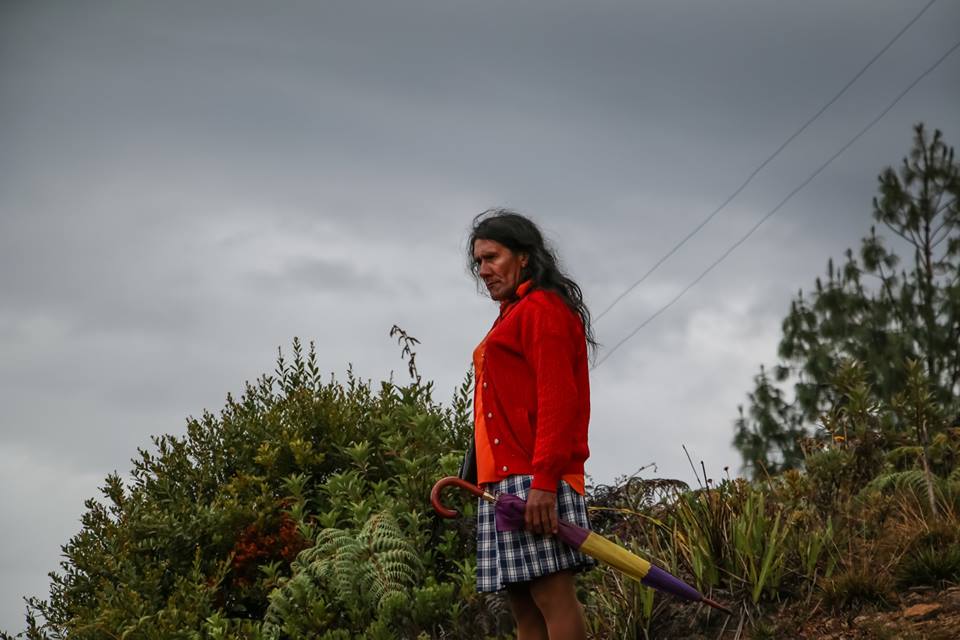 La 'señorita María' le perdonó a su ex sus maltratos y que le haya quitado la finca La 'Señorita María', como se conoció a la mujer que contó su vida alejada de la sociedad siendo transgénero, volvió a ser noticia tiempo después debido a la situación que estaba viviendo por cuenta de una expareja que afirmó la golpeaba y la había dejado en la calle al robarle su casa.